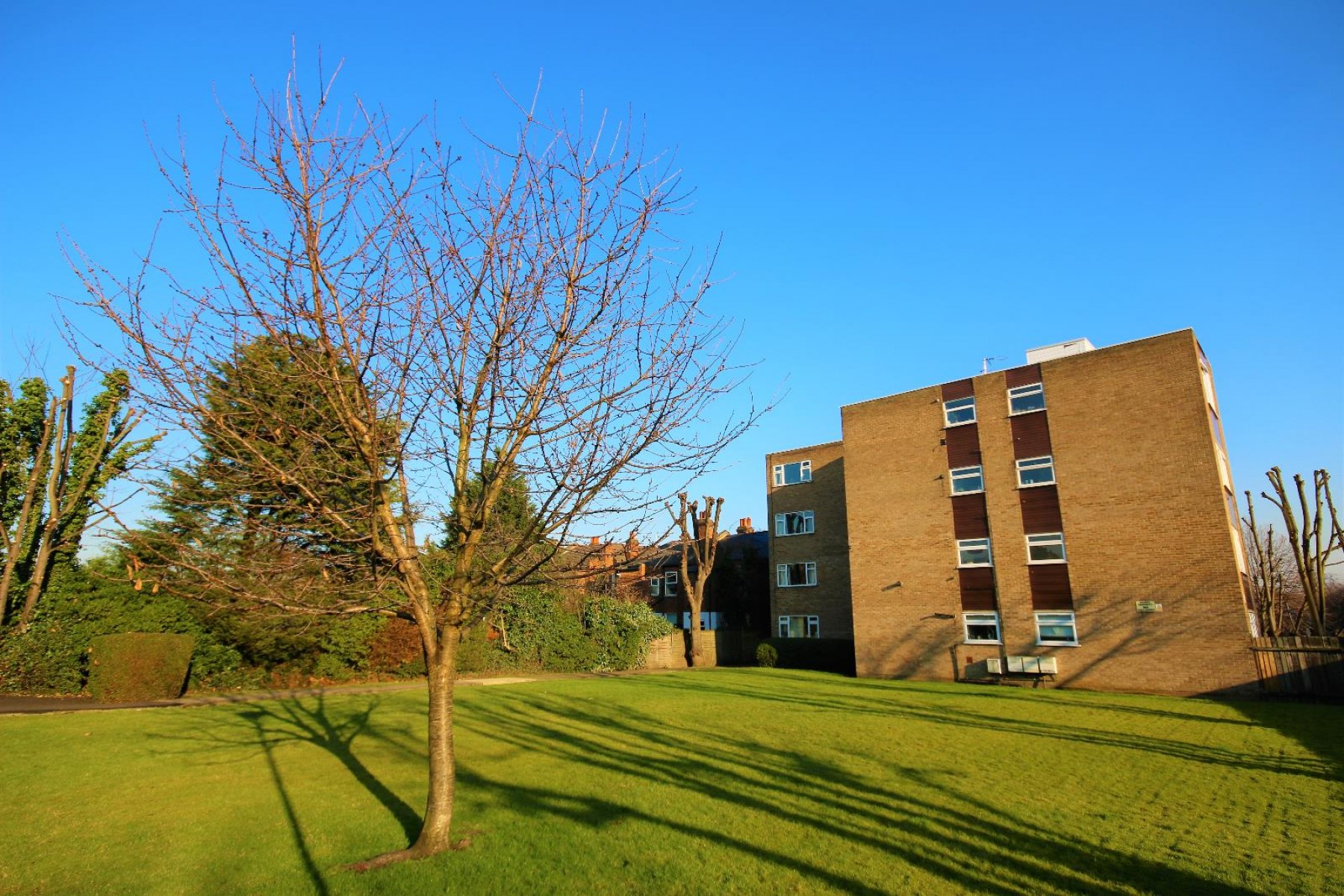 Images for Palmerston Road, Bowes Park, London