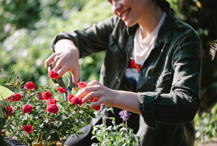 Five Ways North London Landlords Can Avoid Garden Maintenance Disputes